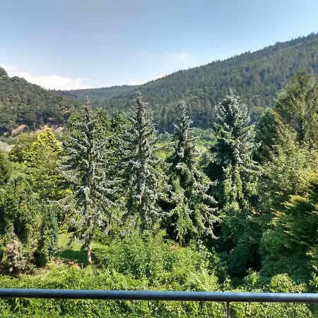 Zum Neckartal Heidelberg