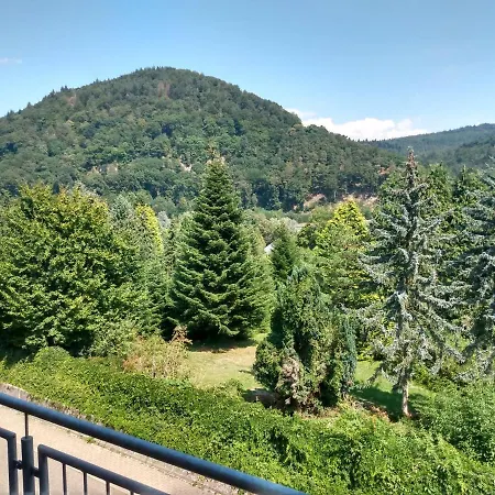 Zum Neckartal Hotel 3*