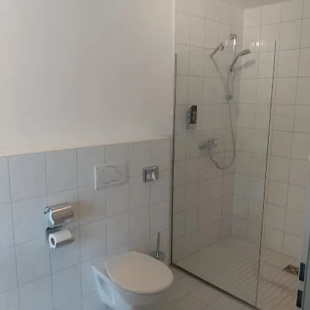 מלון Zum Neckartal Heidelberg 3*