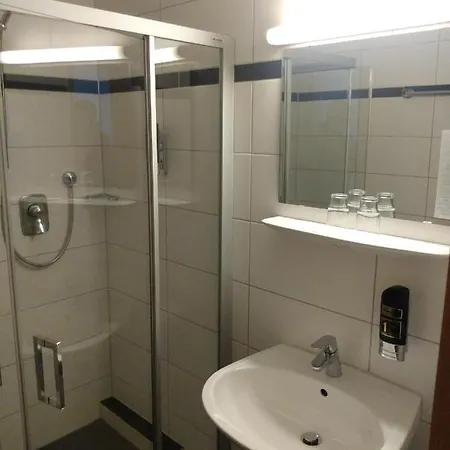 Zum Neckartal Heidelberg מלון