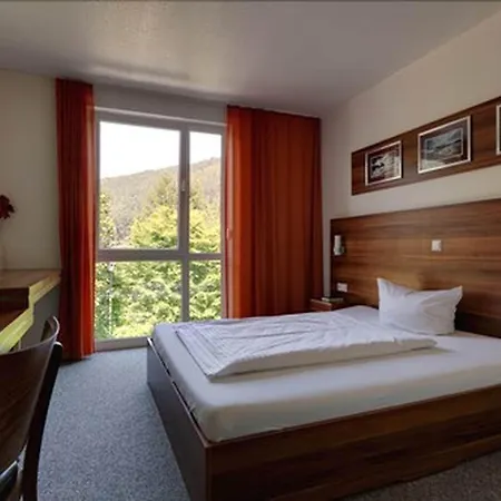 Zum Neckartal Hotel Heidelberg