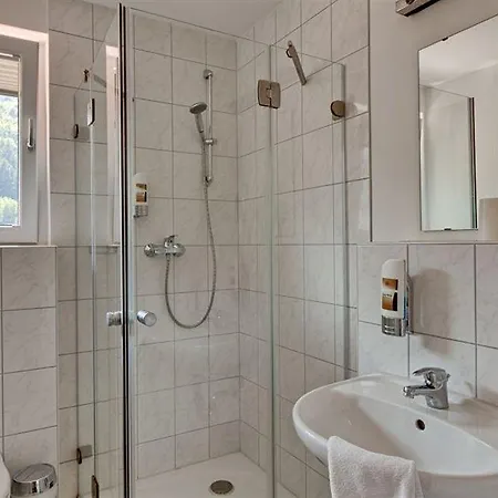 Hotel Zum Neckartal Heidelberg