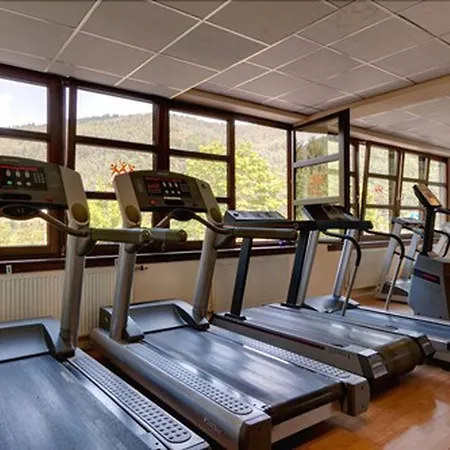 Zum Neckartal Heidelberg 3*