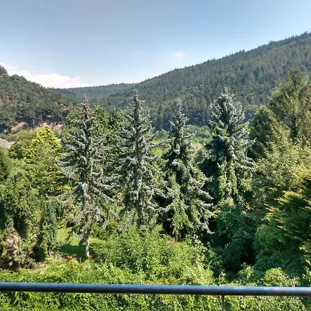 Zum Neckartal Heidelberg Hotel