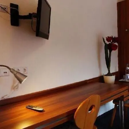 Zum Neckartal Heidelberg Hotel Schlierbach