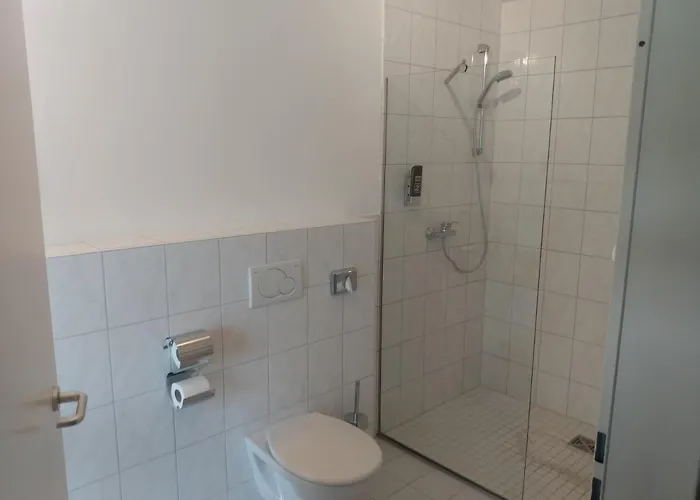 فندق Zum Neckartal Heidelberg 3*