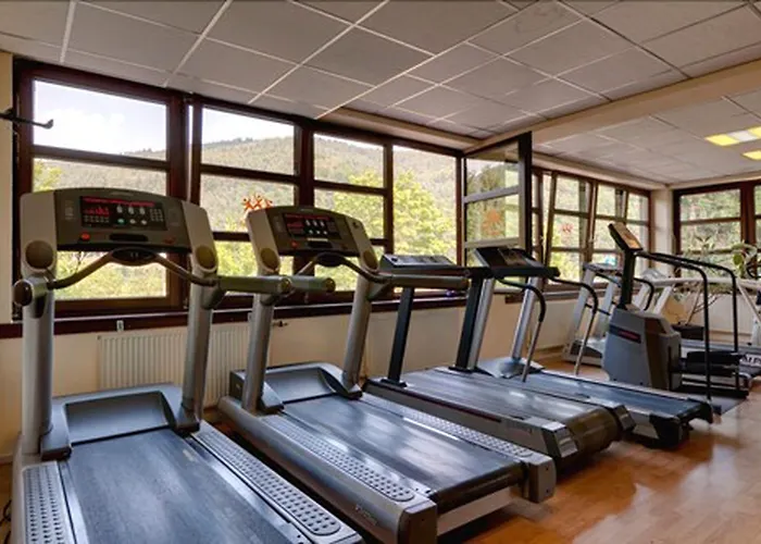 Zum Neckartal Heidelberg 3*