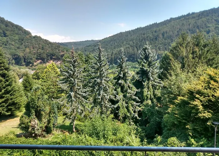 Zum Neckartal Heidelberg فندق