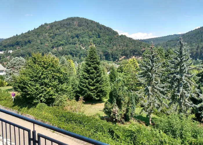 فندق Zum Neckartal Heidelberg